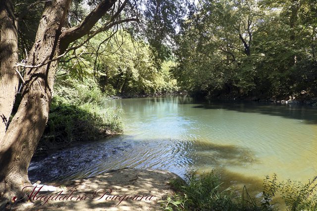 Ημερήσια εκδρομή στα Τέμπη